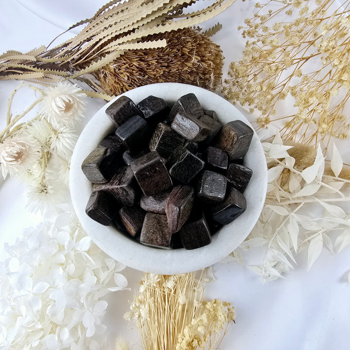 Bronzite Tumbled Stones