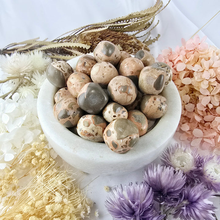 Leopard Skin Jasper Tumbled Stone