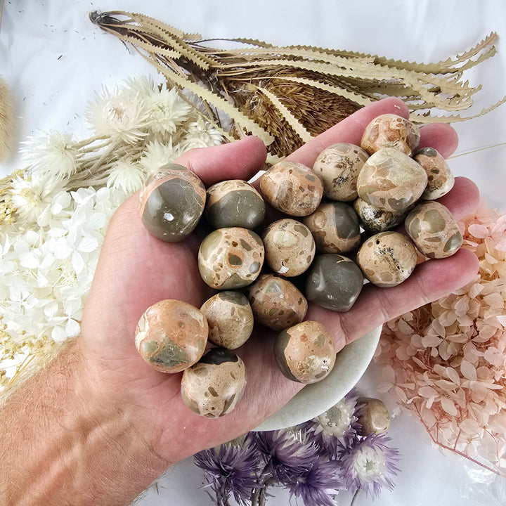 Leopard Skin Jasper Tumbled Stone