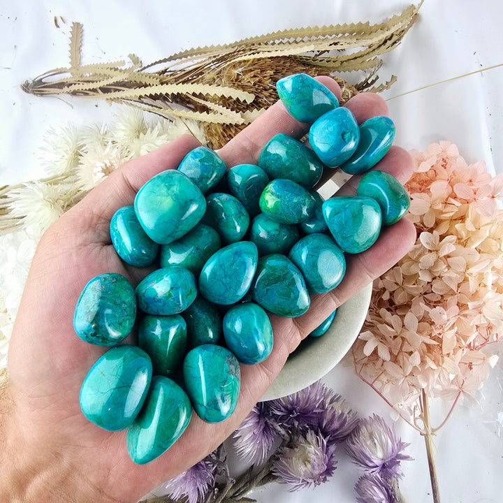Chrysocolla Howlite Tumbled Stone
