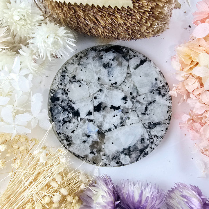 Rainbow Moonstone Coaster