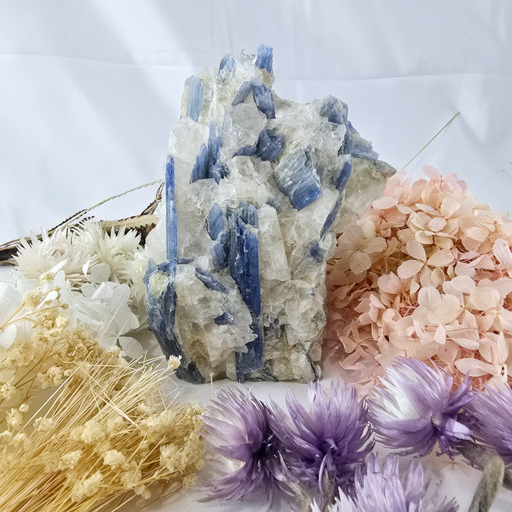 Blue Kyanite In Quartz Natural