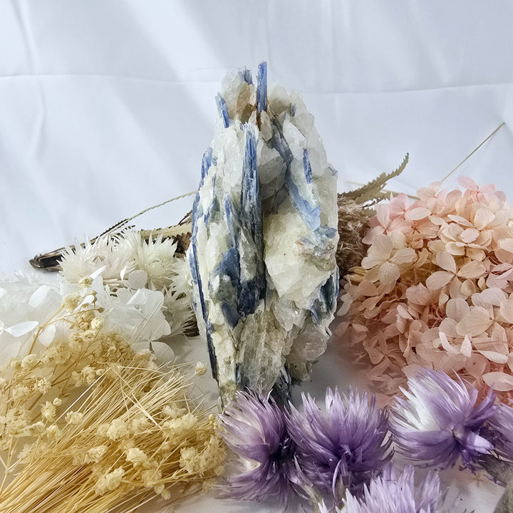 Blue Kyanite In Quartz Natural