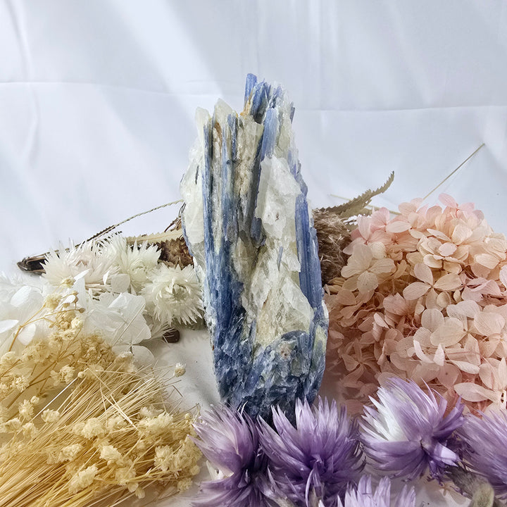 Blue Kyanite In Quartz Natural