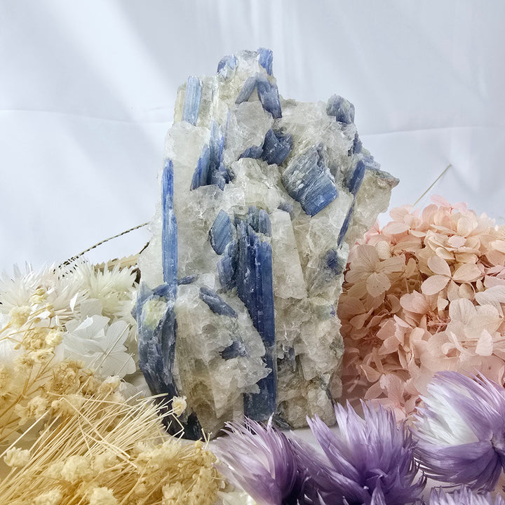 Blue Kyanite In Quartz Natural