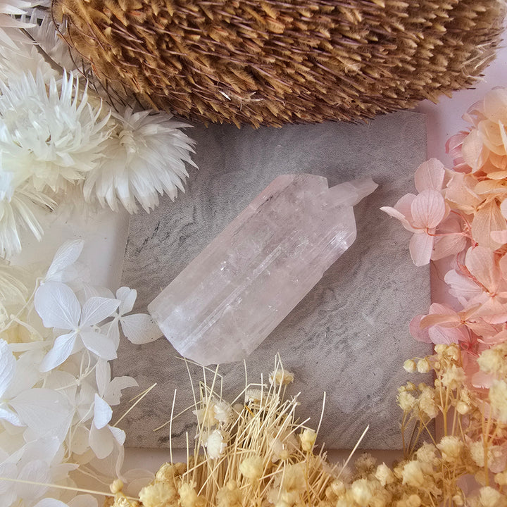Danburite Natural Specimen