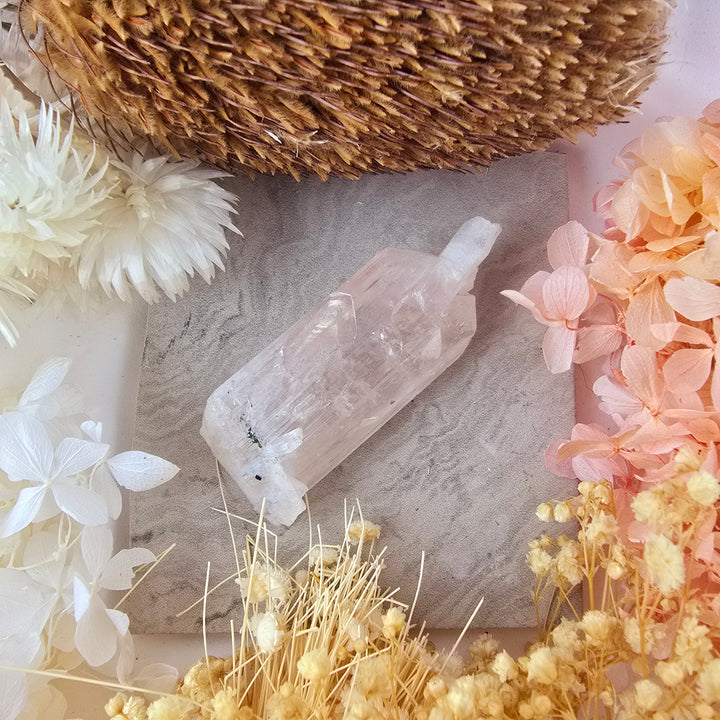 Danburite Natural Specimen