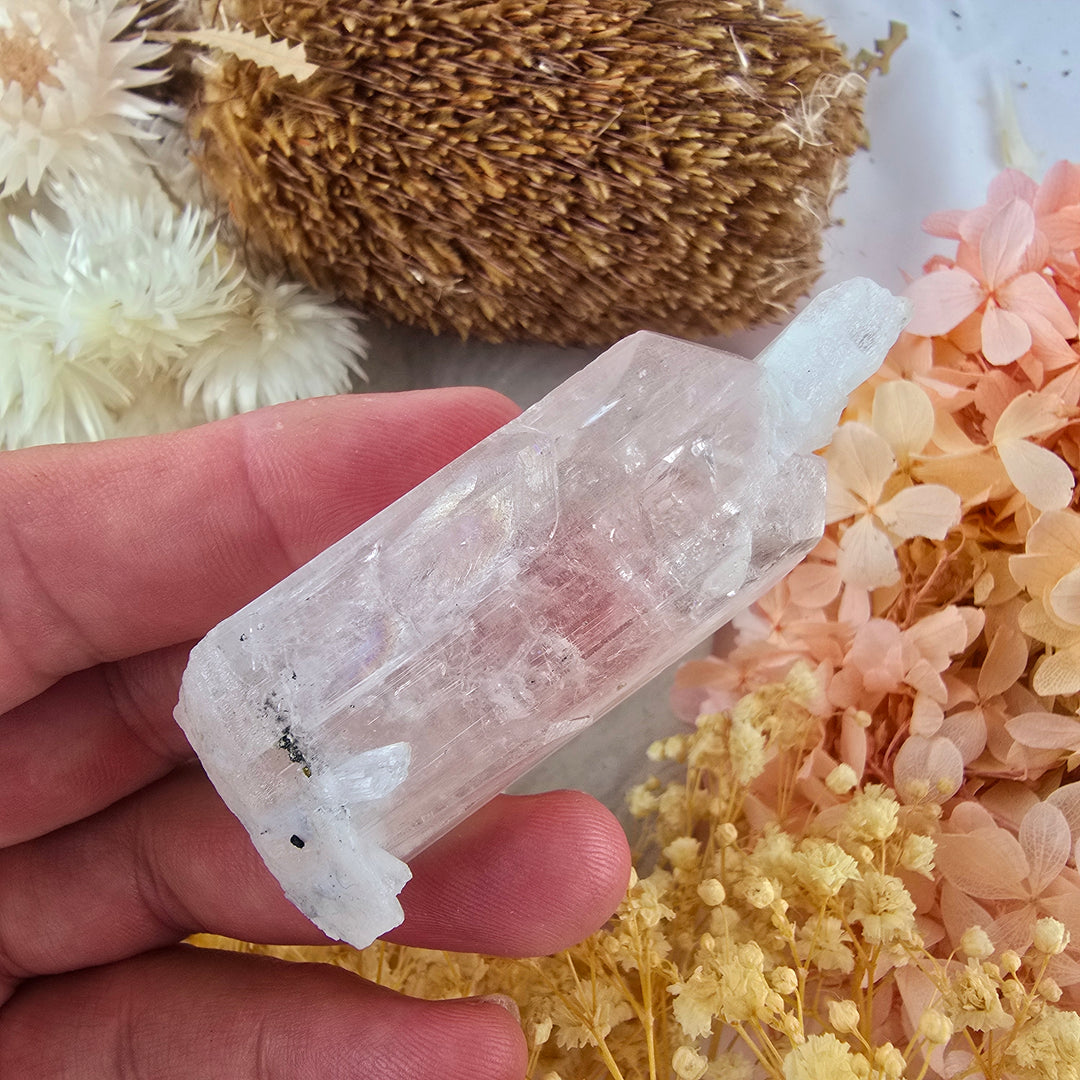 Danburite Natural Specimen