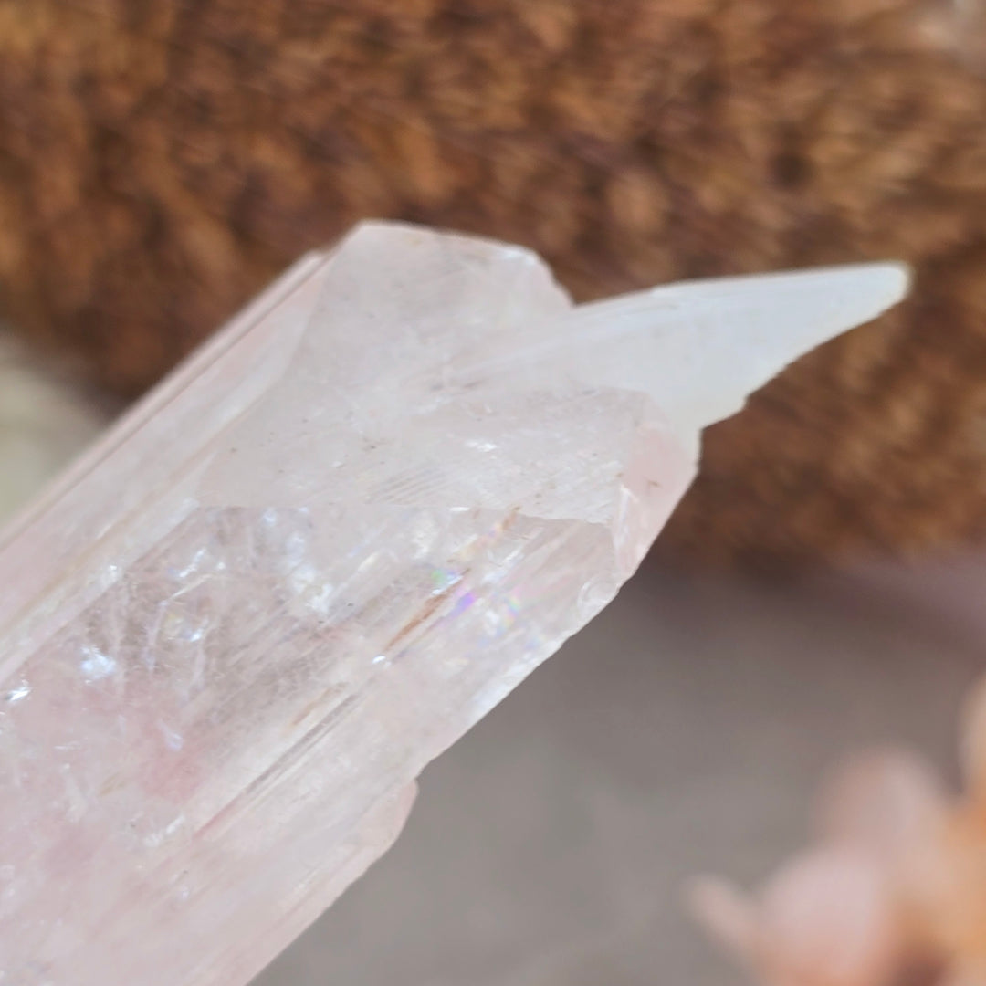 Danburite Natural Specimen