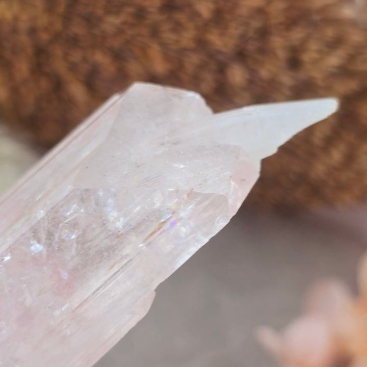 Danburite Natural Specimen