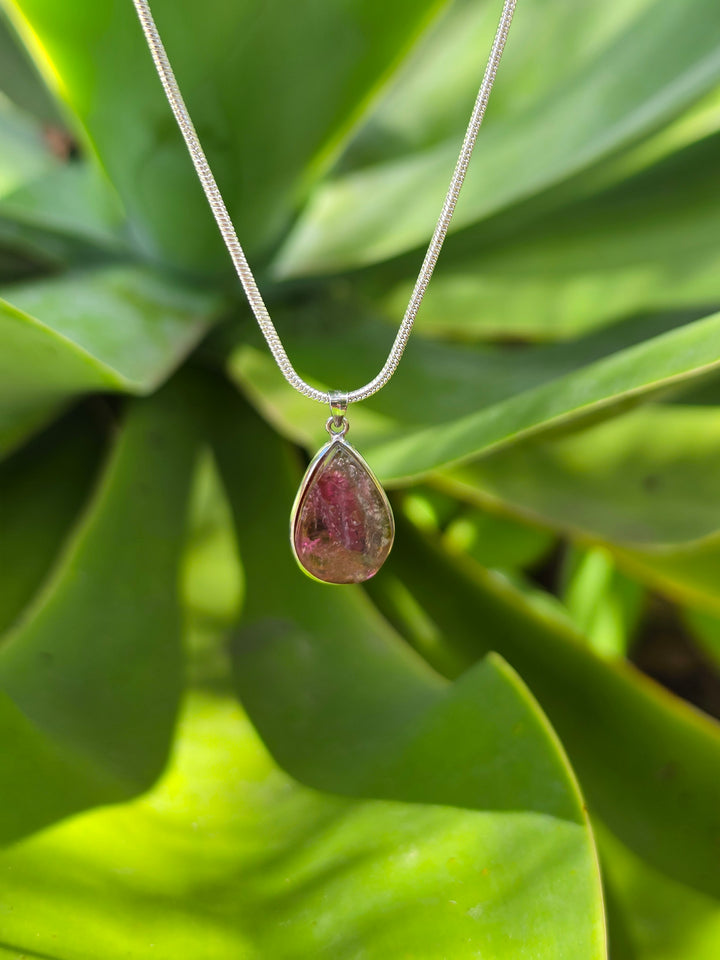 Watermelon Tourmaline Silver Pendant — Tender & Whole