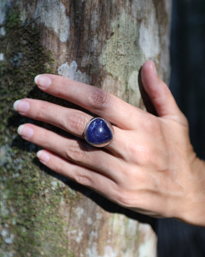 Tanzanite Silver Ring (Rare)