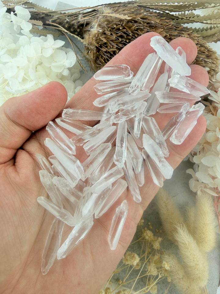 Lemurian Seed Quartz