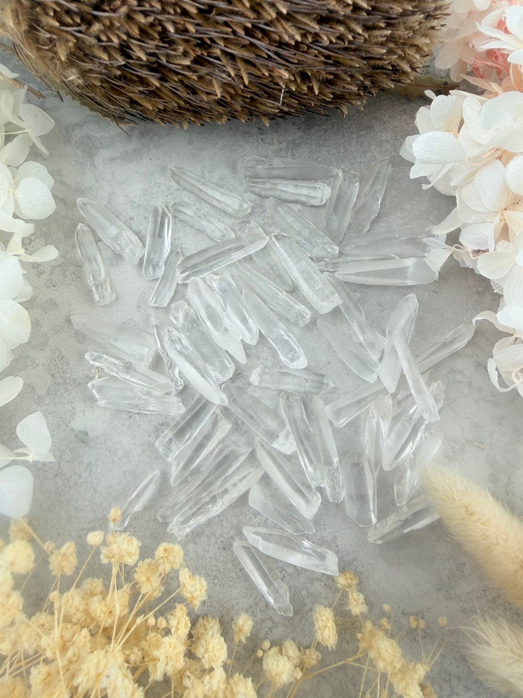 Lemurian Seed Quartz