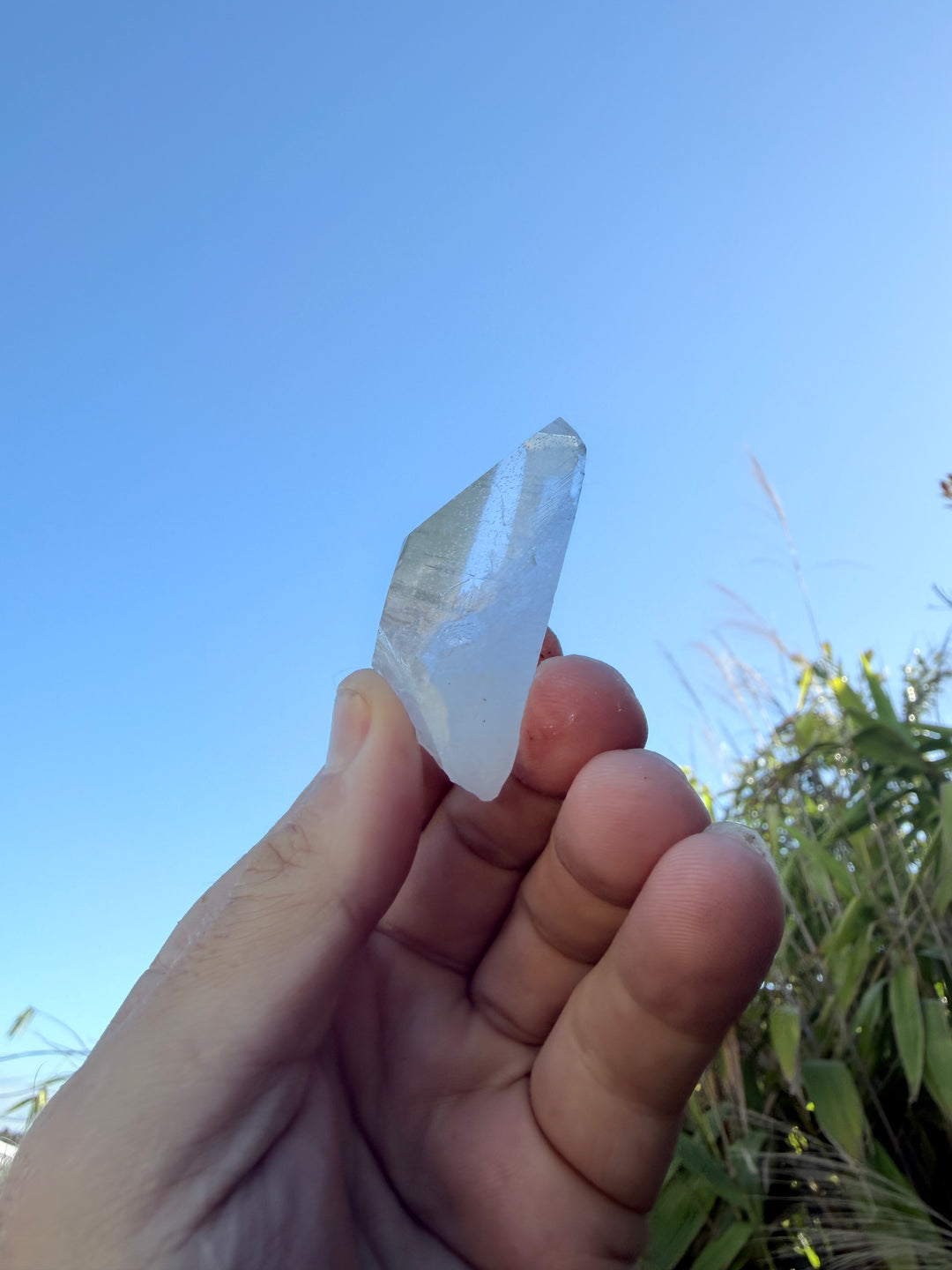 Lemurian Seed Tabby Quartz