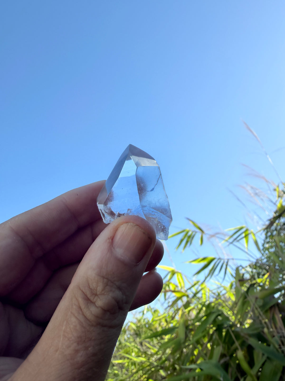 Lemurian Seed Laser Quartz