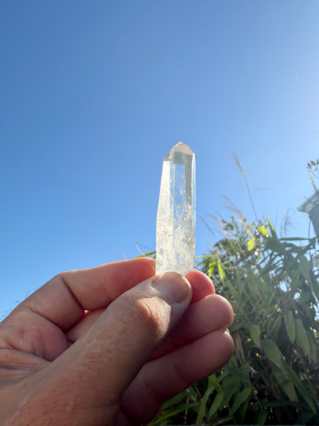 Lemurian Seed Quartz