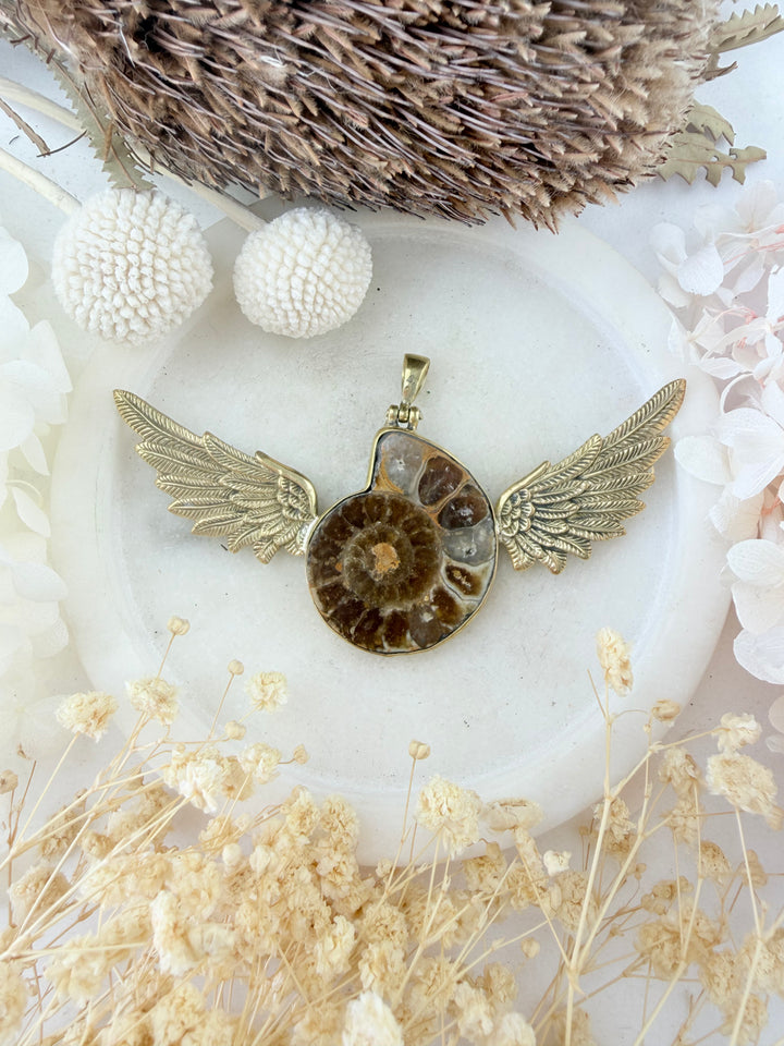 Ammonite Fossil Anahata Pendant