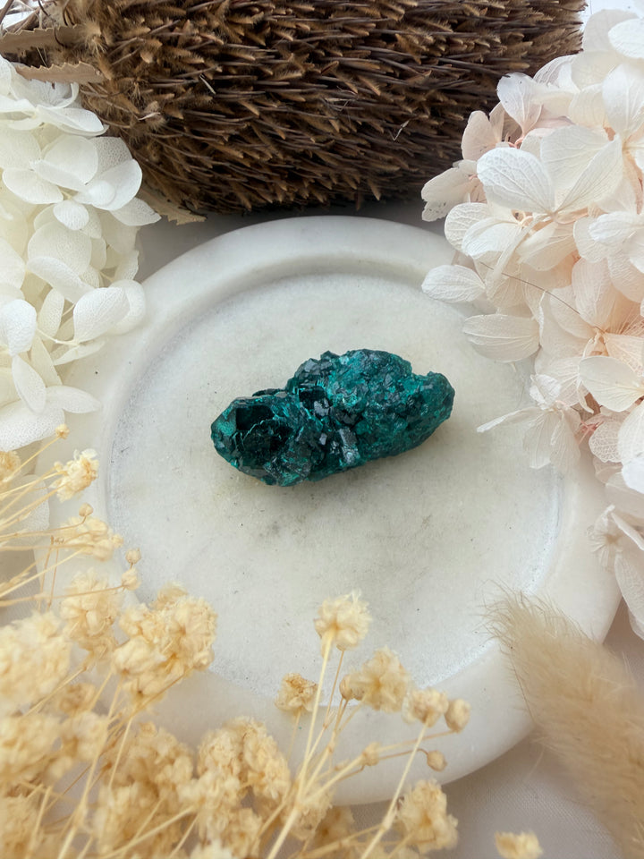 Dioptase Natural Cluster
