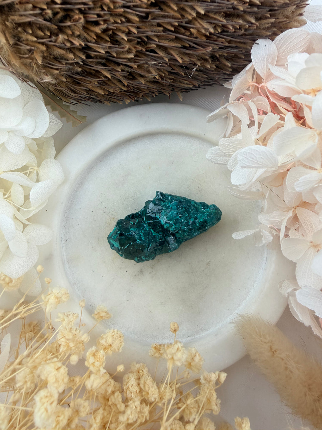 Dioptase Natural Cluster