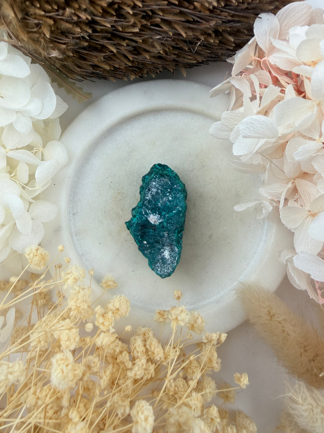 Dioptase Natural Cluster