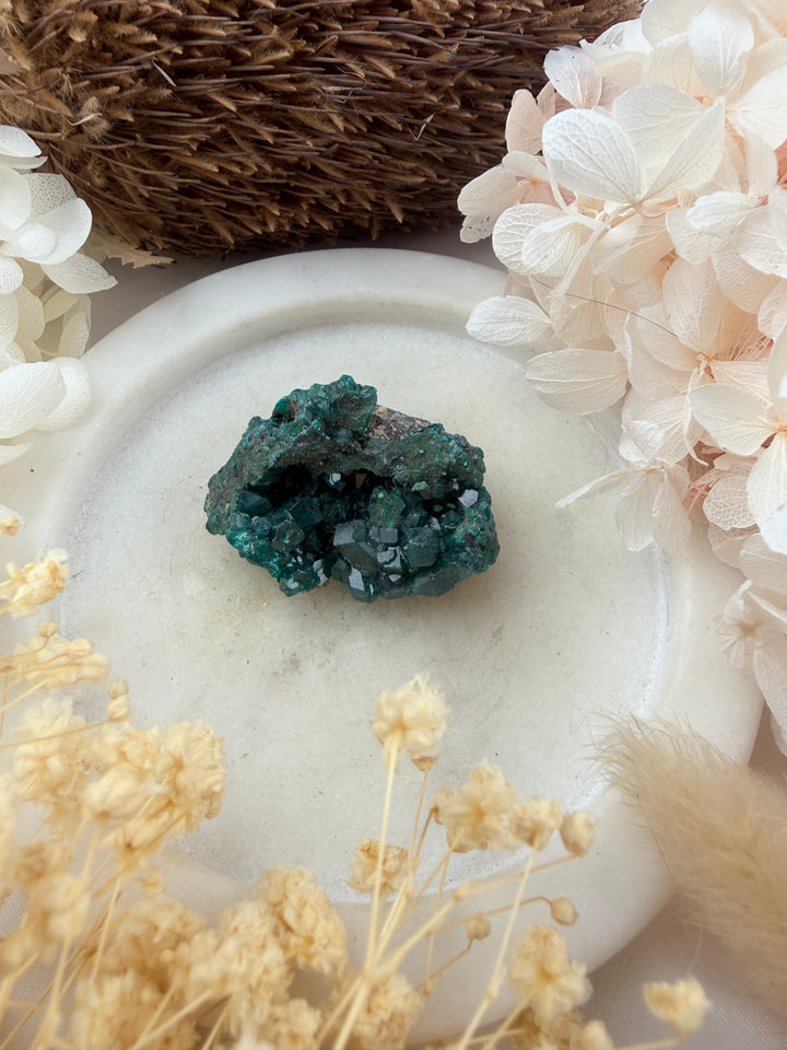 Dioptase Natural Cluster