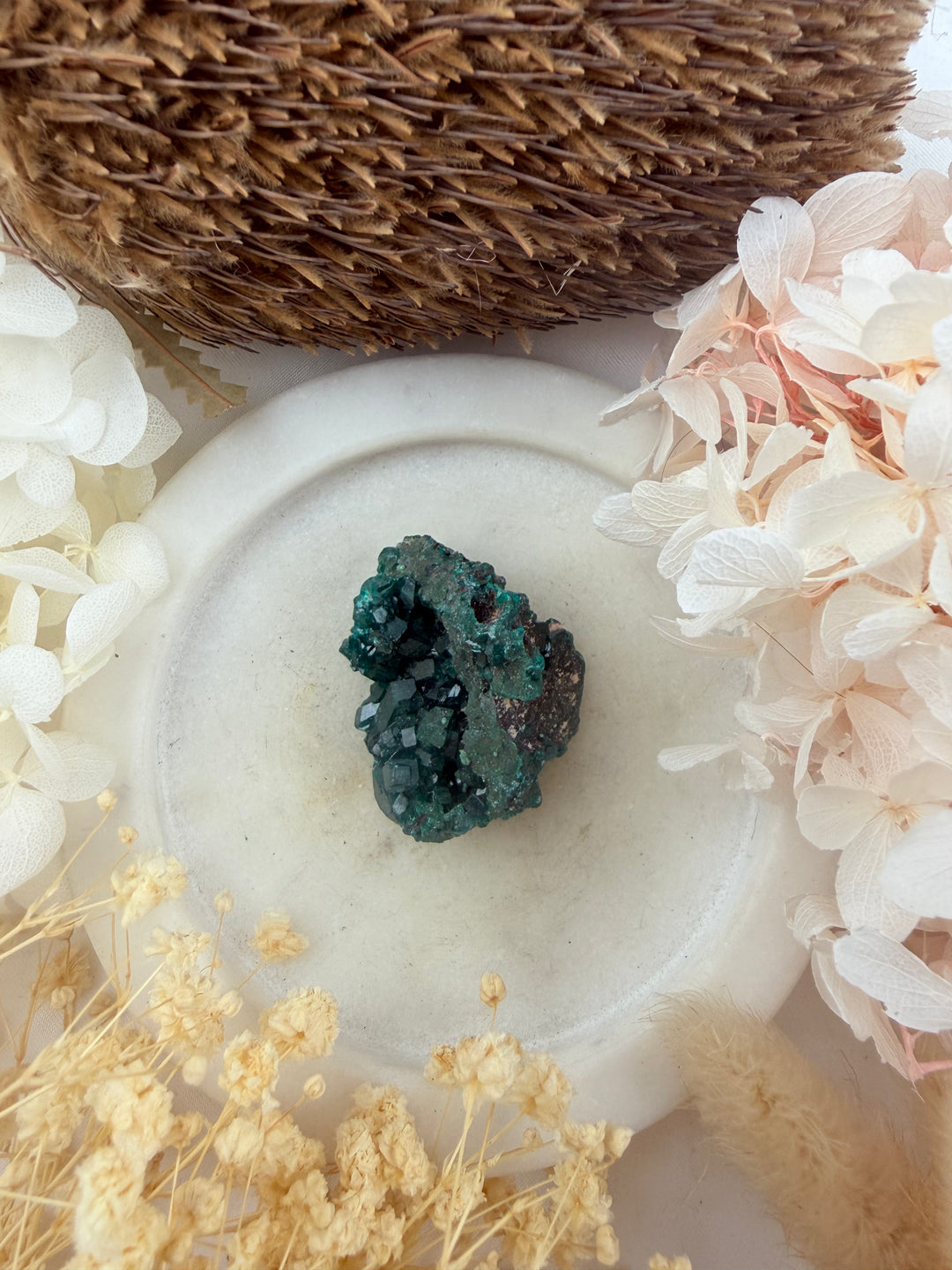 Dioptase Natural Cluster