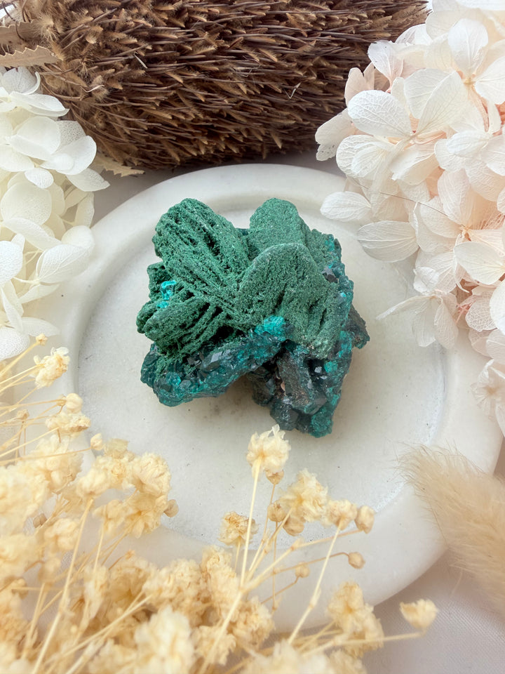 Dioptase with Malachite Natural Cluster