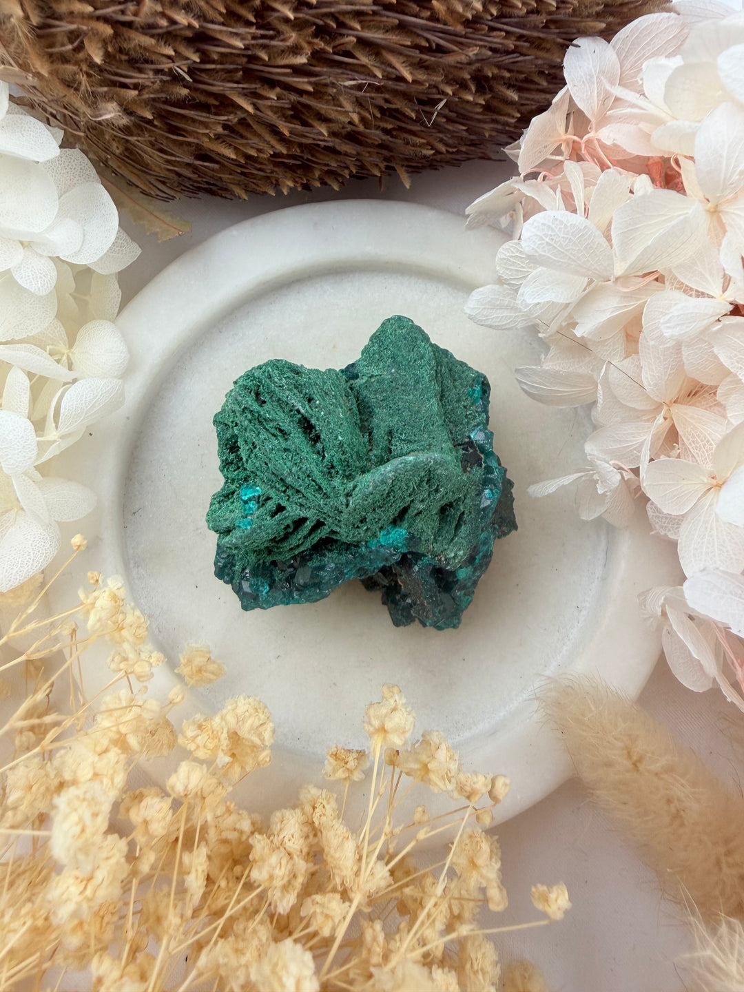 Dioptase with Malachite Natural Cluster