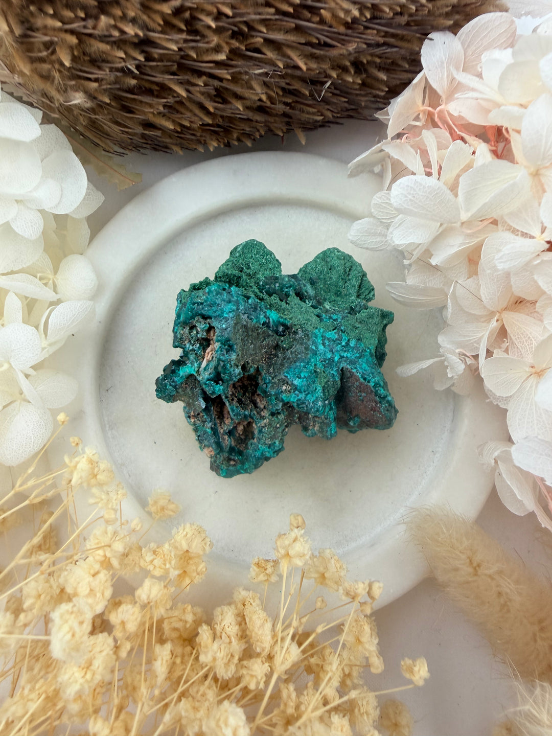 Dioptase with Malachite Natural Cluster