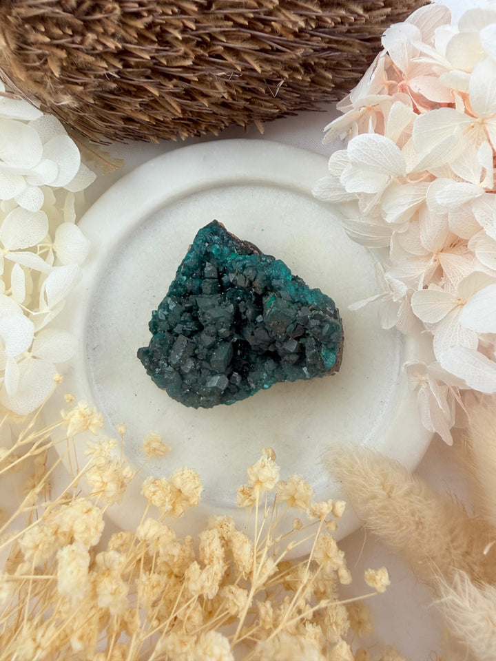 Dioptase Natural Cluster