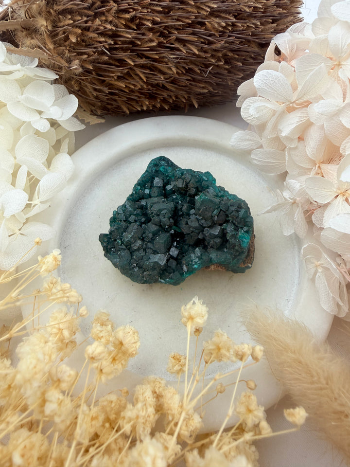 Dioptase Natural Cluster