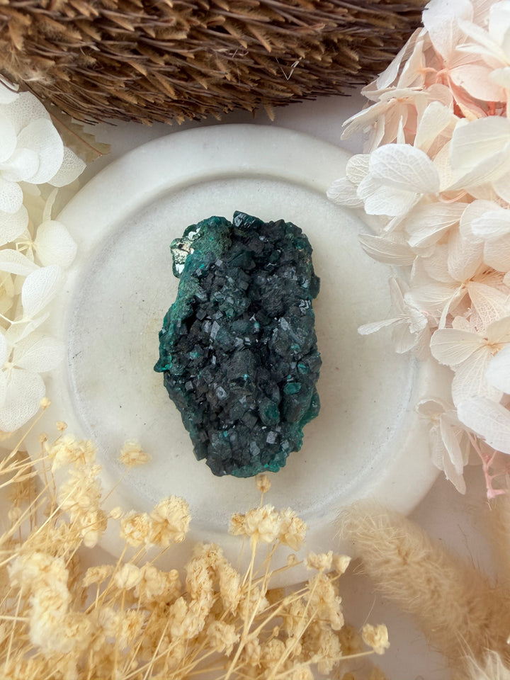 Dioptase Natural Cluster