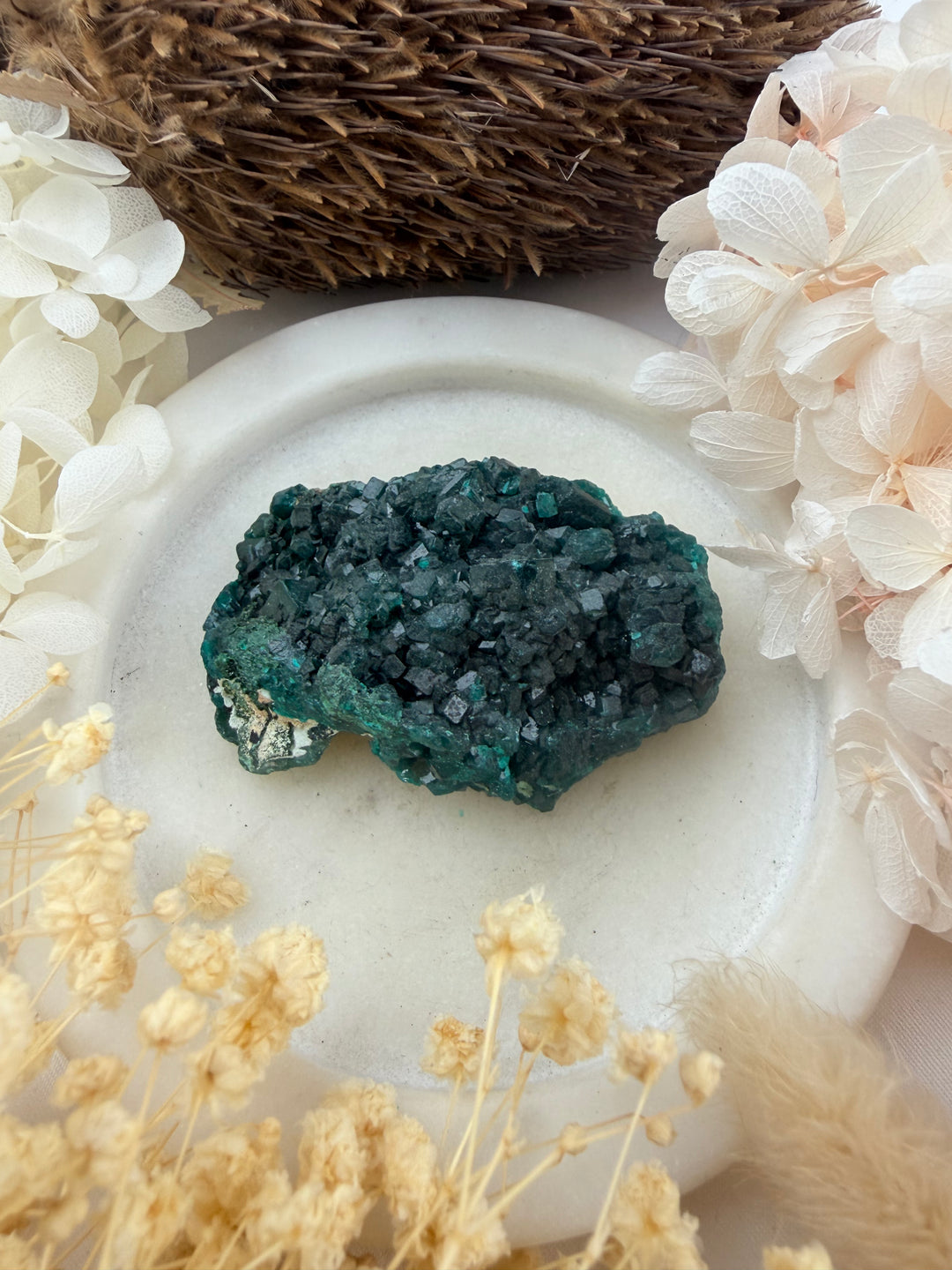 Dioptase Natural Cluster