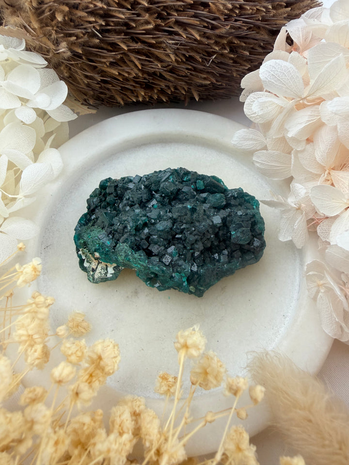 Dioptase Natural Cluster