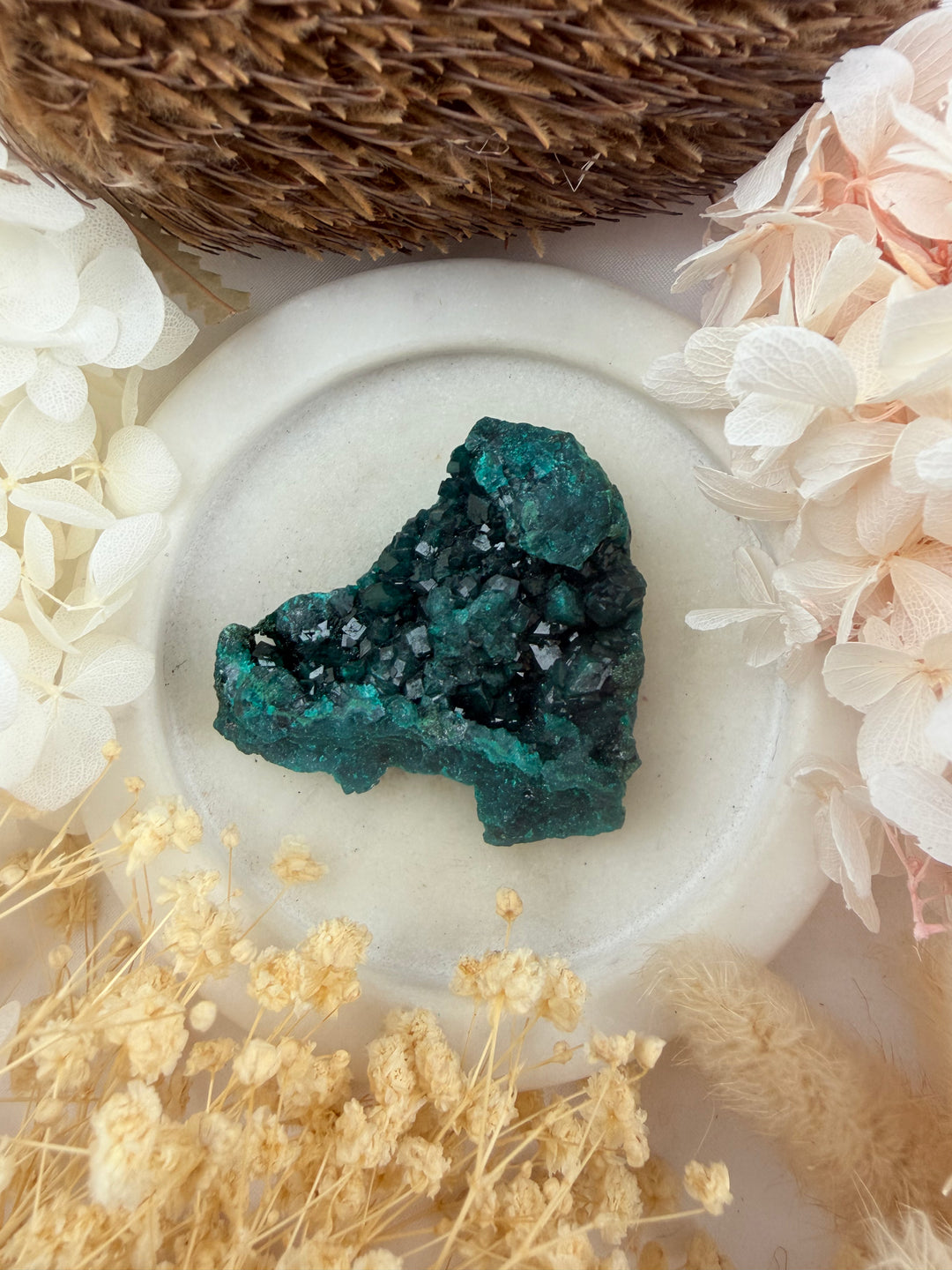 Dioptase Natural Cluster