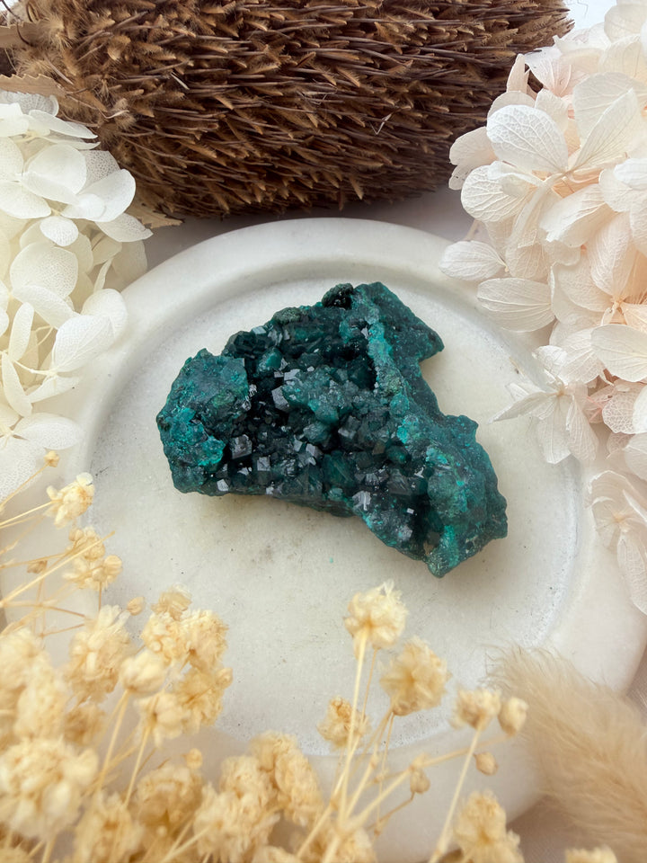 Dioptase Natural Cluster