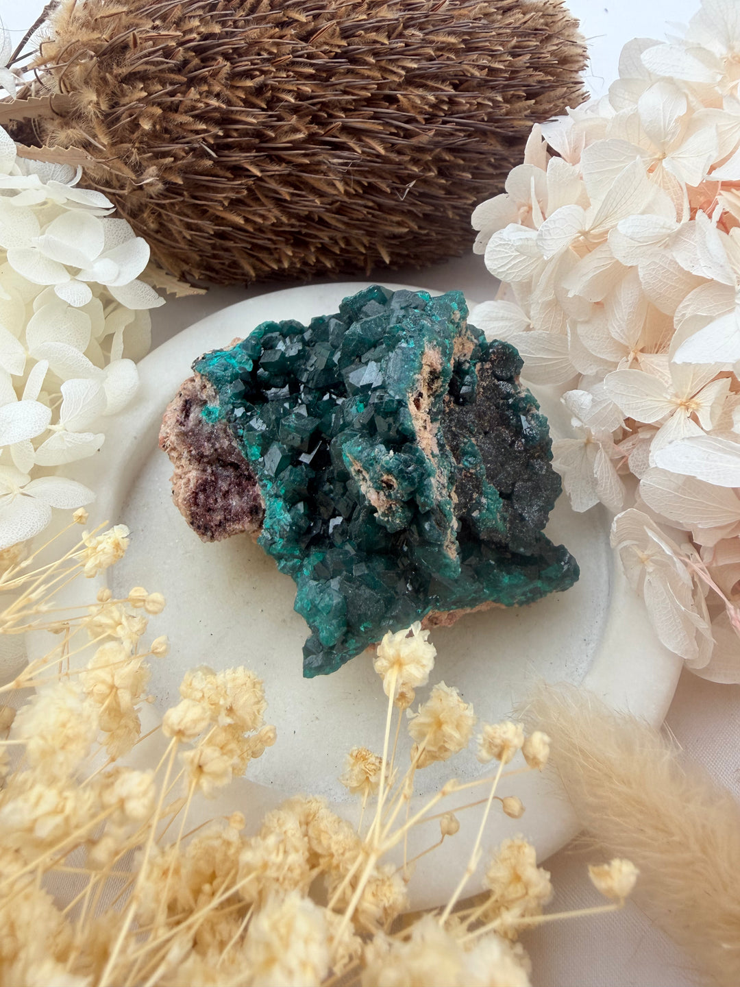 Dioptase Natural Cluster