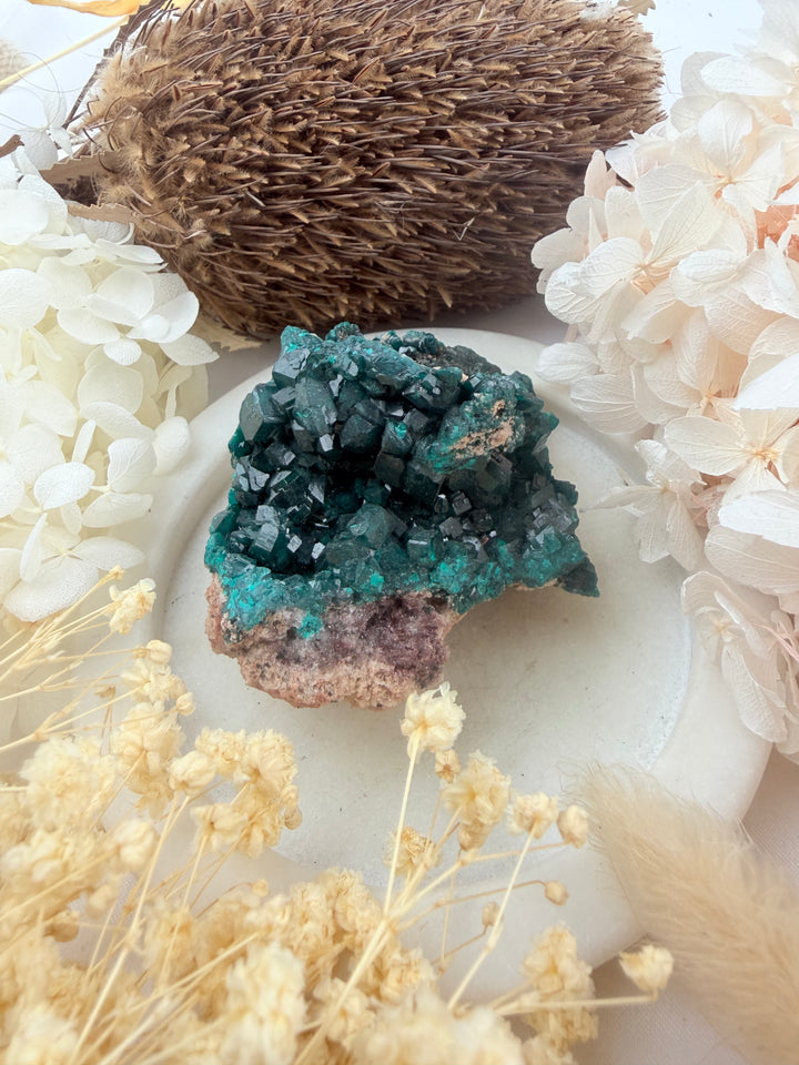 Dioptase Natural Cluster