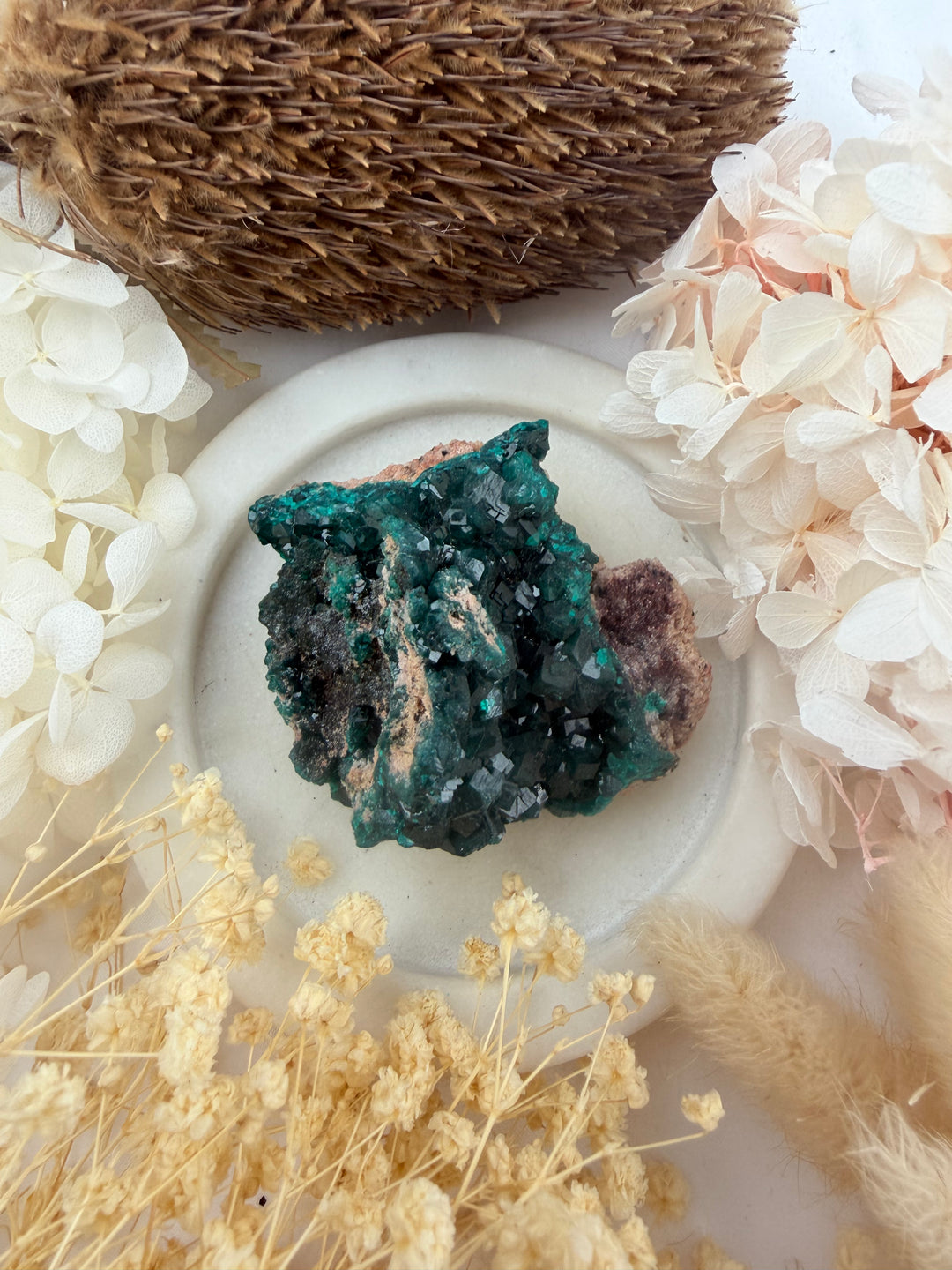 Dioptase Natural Cluster
