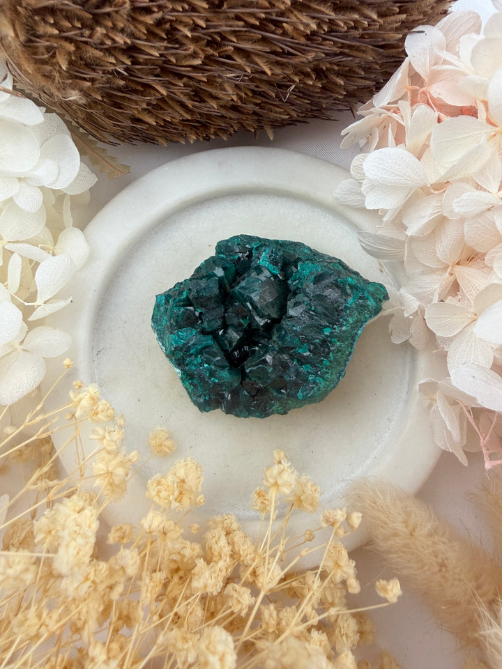 Dioptase Natural Cluster