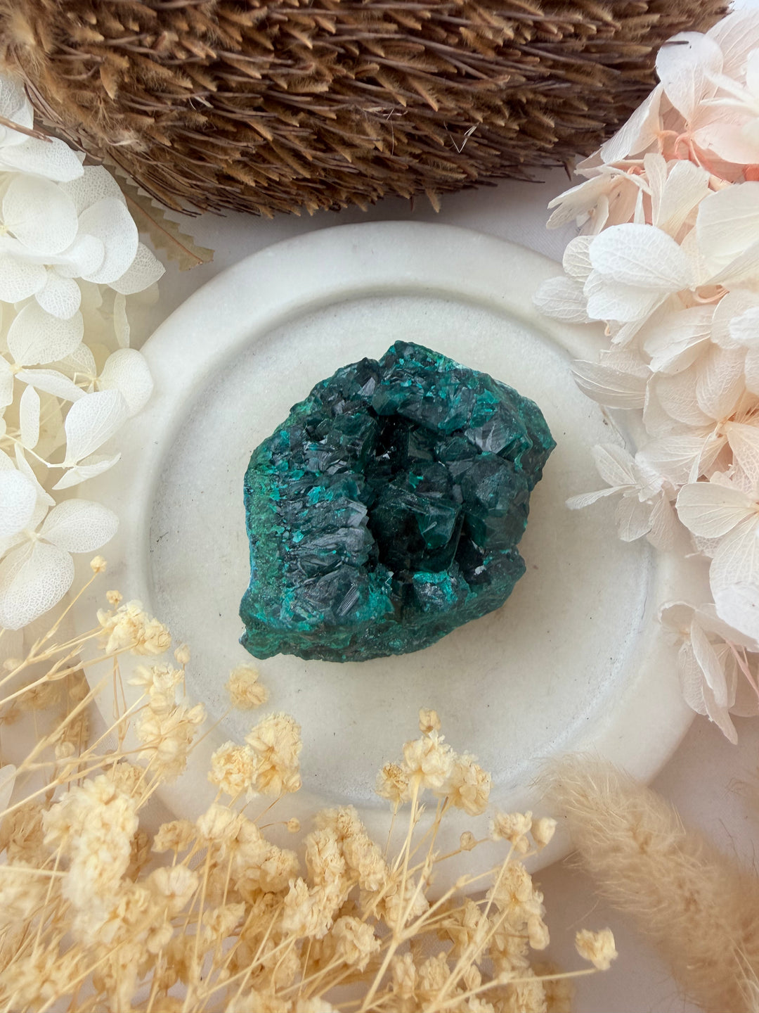Dioptase Natural Cluster
