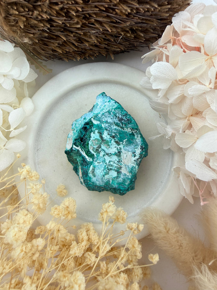 Dioptase Natural Cluster