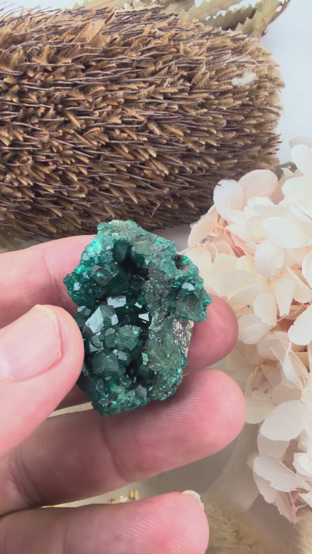 Dioptase Natural Cluster