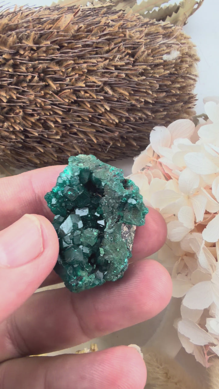 Dioptase Natural Cluster