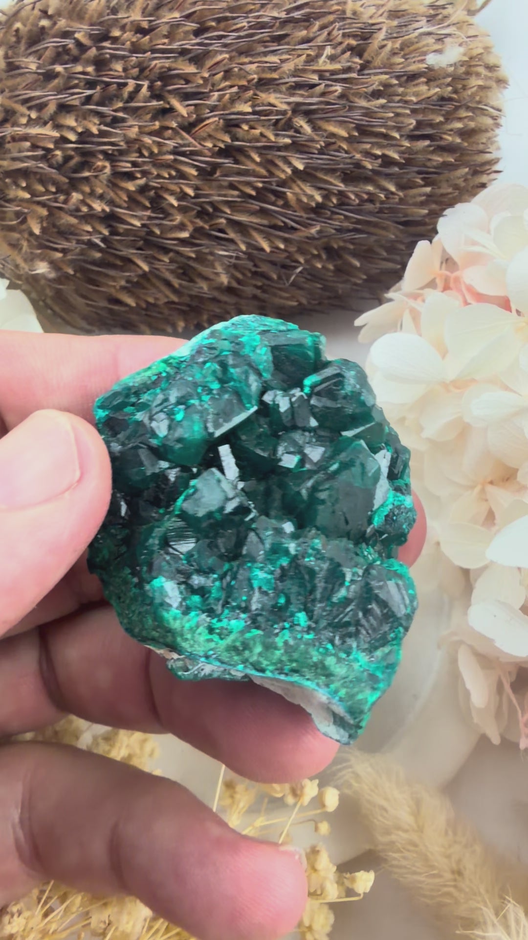 Dioptase Natural Cluster