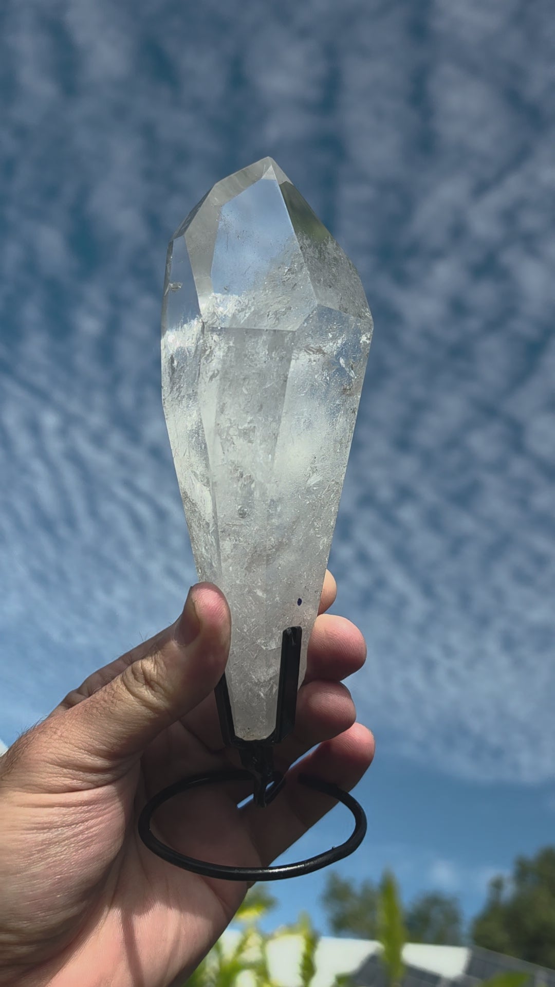 Lemurian Seed with Black Chlorite Phantom Quartz with Metal Stand