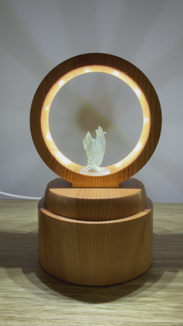 Rotating Light Stand