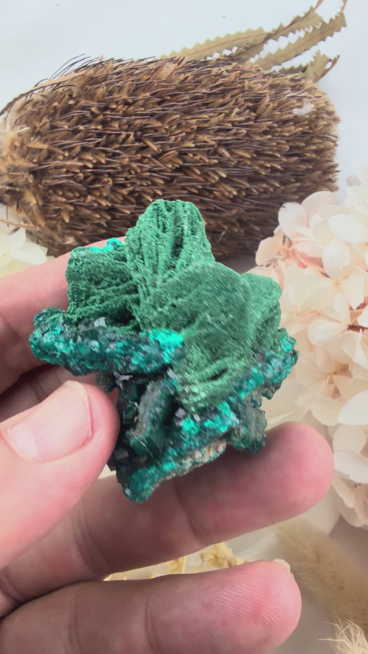 Dioptase with Malachite Natural Cluster