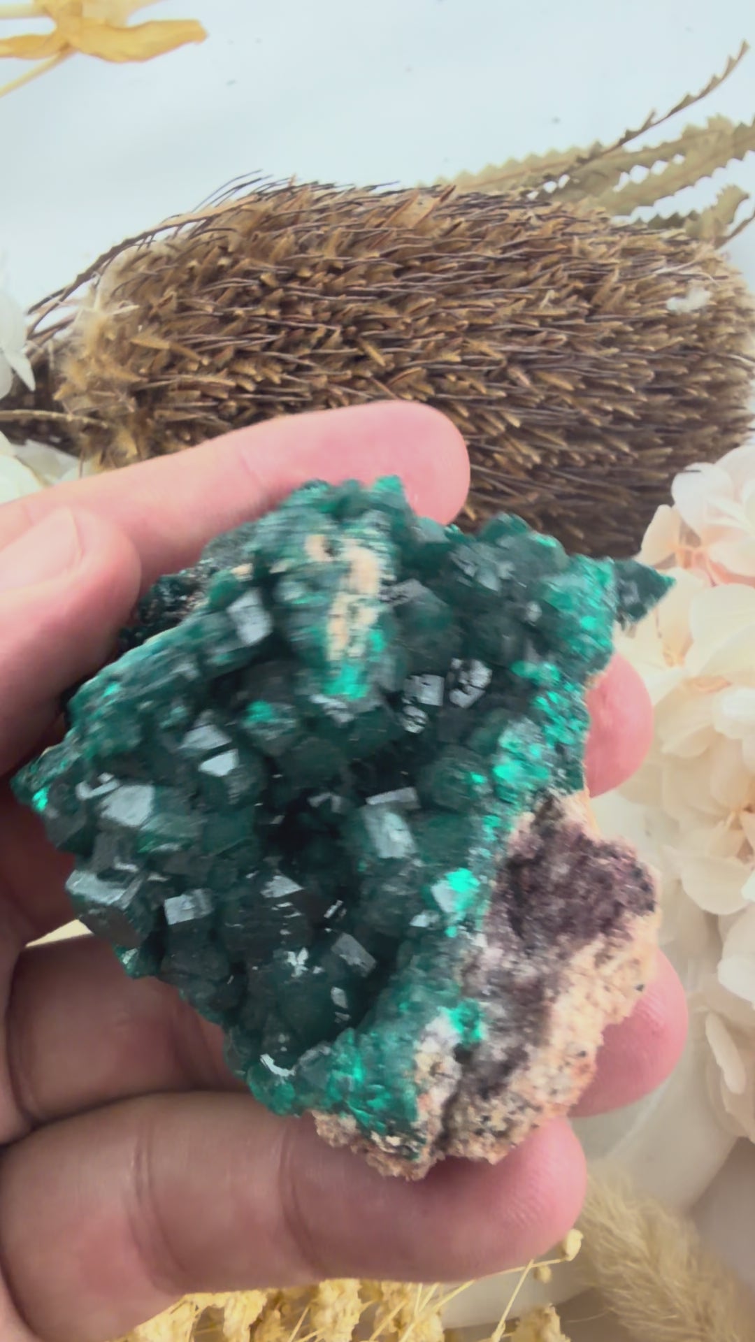 Dioptase Natural Cluster